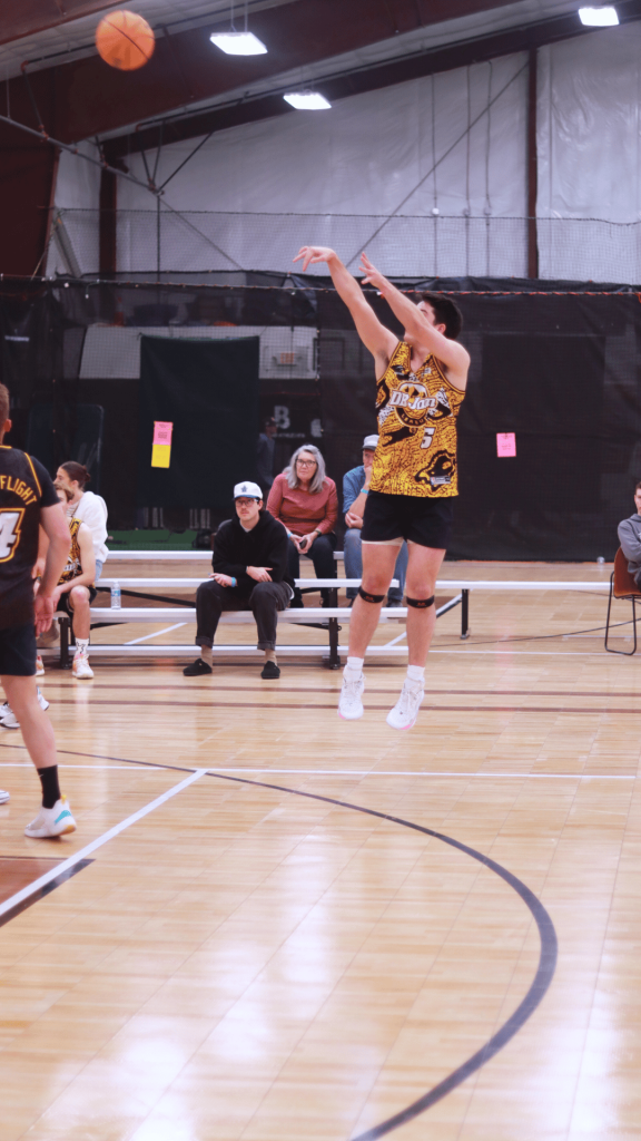 3 point shot in Dunk Ball Basketball League